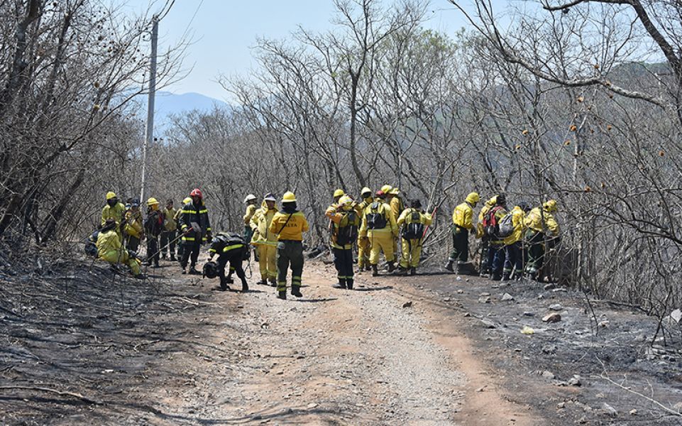 Se suman 100 brigadistas nacionales para combatir incendios forestales en el norte provincial