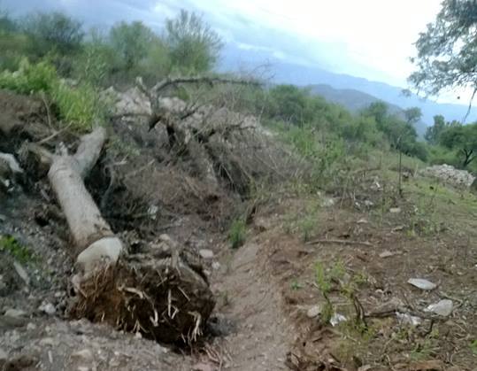 En el día de la Pachamama desmontan y usurpan territorio de la Comunidad Originaria Lule