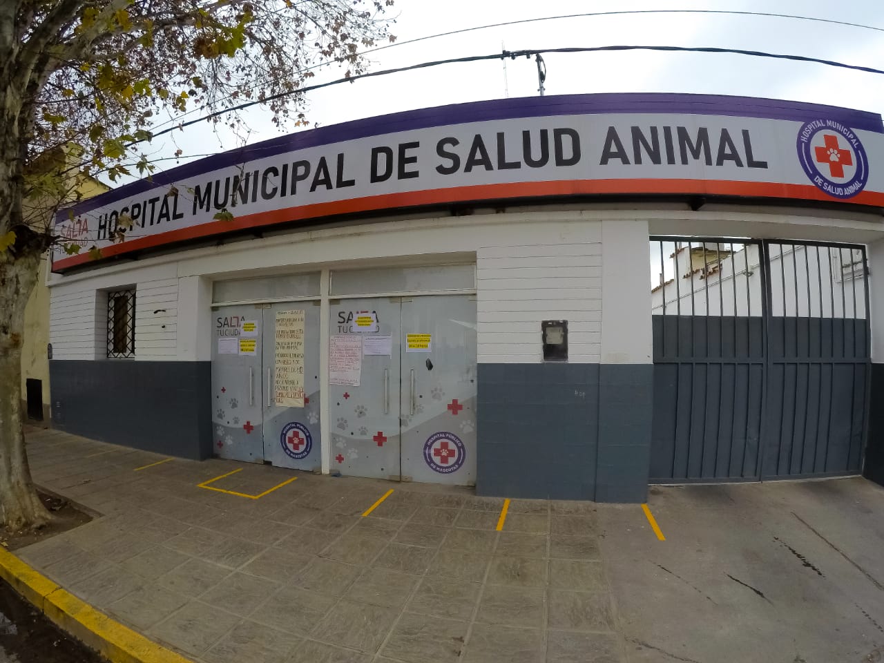 El Hospital Municipal de Salud Animal y el Quirófano Móvil no atenderán hasta el miércoles
