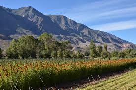 Analizan propuestas para generar emprendimientos agroindustriales destinados a comunidades originarias, junto a organizaciones sociales internacionales.   